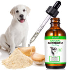 Natural Antibiotics for Dogs