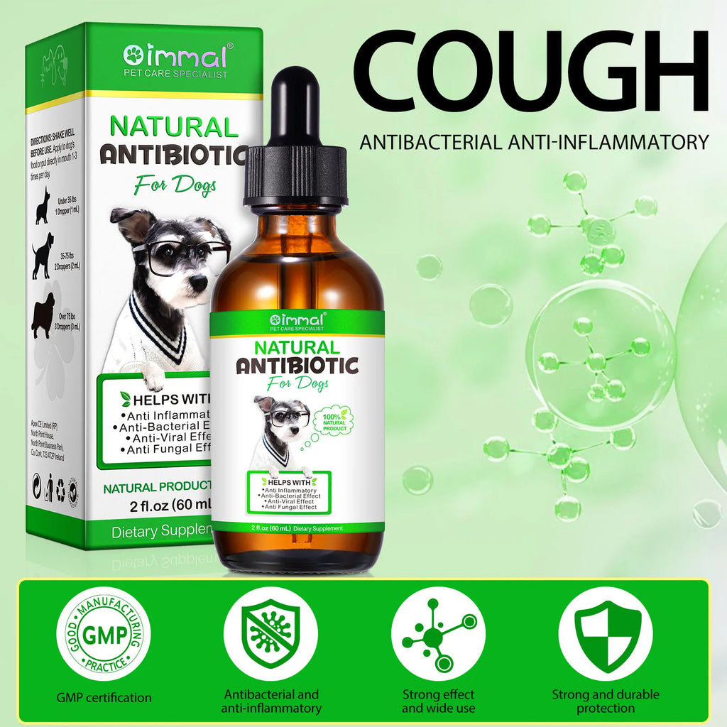 Natural Antibiotics for Dogs