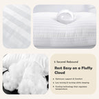 LUX Décor Hotel Stripe Pillows Set of 2 – Down Alternative Bed Pillows for Sleeping – Soft & Supportive Hotel Quality