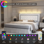 Queen Bed Frame/ LED Lights