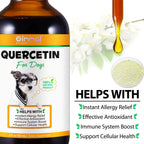 Instant Dog Allergy Relief