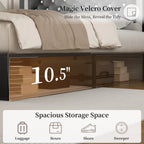Queen Bed Frame/ LED Lights