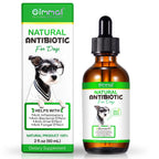 Natural Antibiotics for Dogs