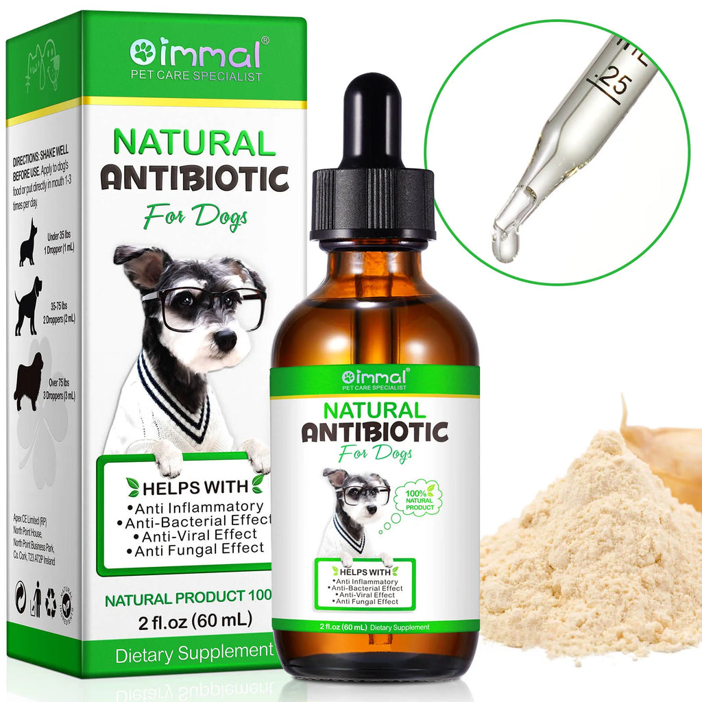 Natural Antibiotics for Dogs