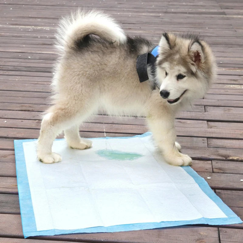 Super Absorbent Pet Pads