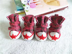 Pet Shoes