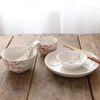 6-Piece Japanese Rice Bowl Set