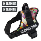 Pet Harness, Large Medium Puppy