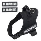 Pet Harness, Large Medium Puppy