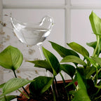 5 Bird-Shaped Self-Watering Globes