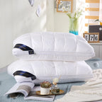 2-Piece Pillow Set