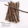 5pcs 10pcs 40pcs Chew, Grinding Stick
