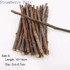 5pcs 10pcs 40pcs Chew, Grinding Stick