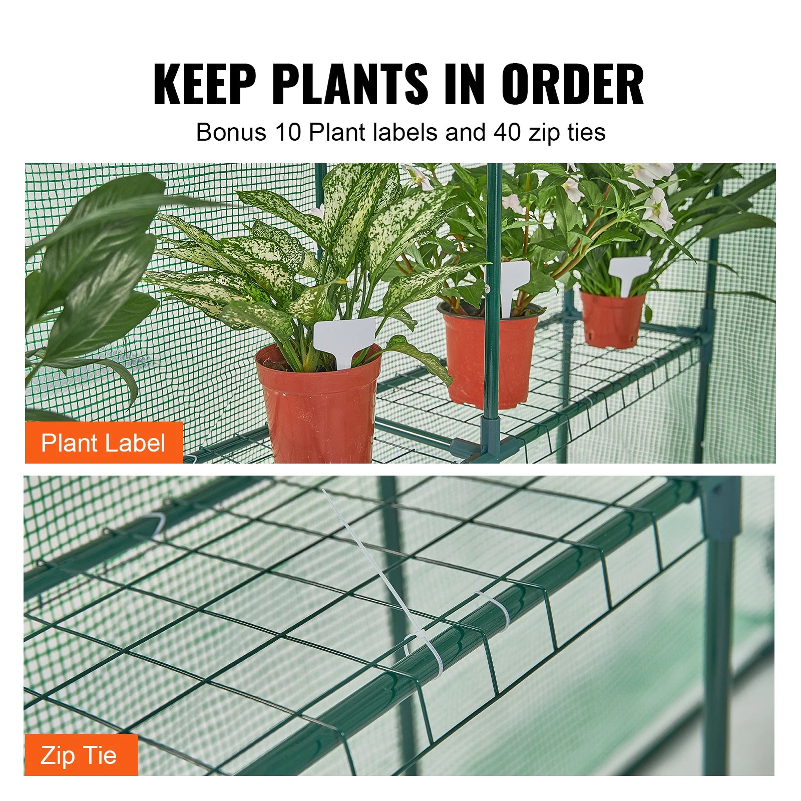 Walk-in Greenhouse with Shelves, Doors ,windows, Frame