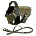 Pet Harness, Leash, Collar Set