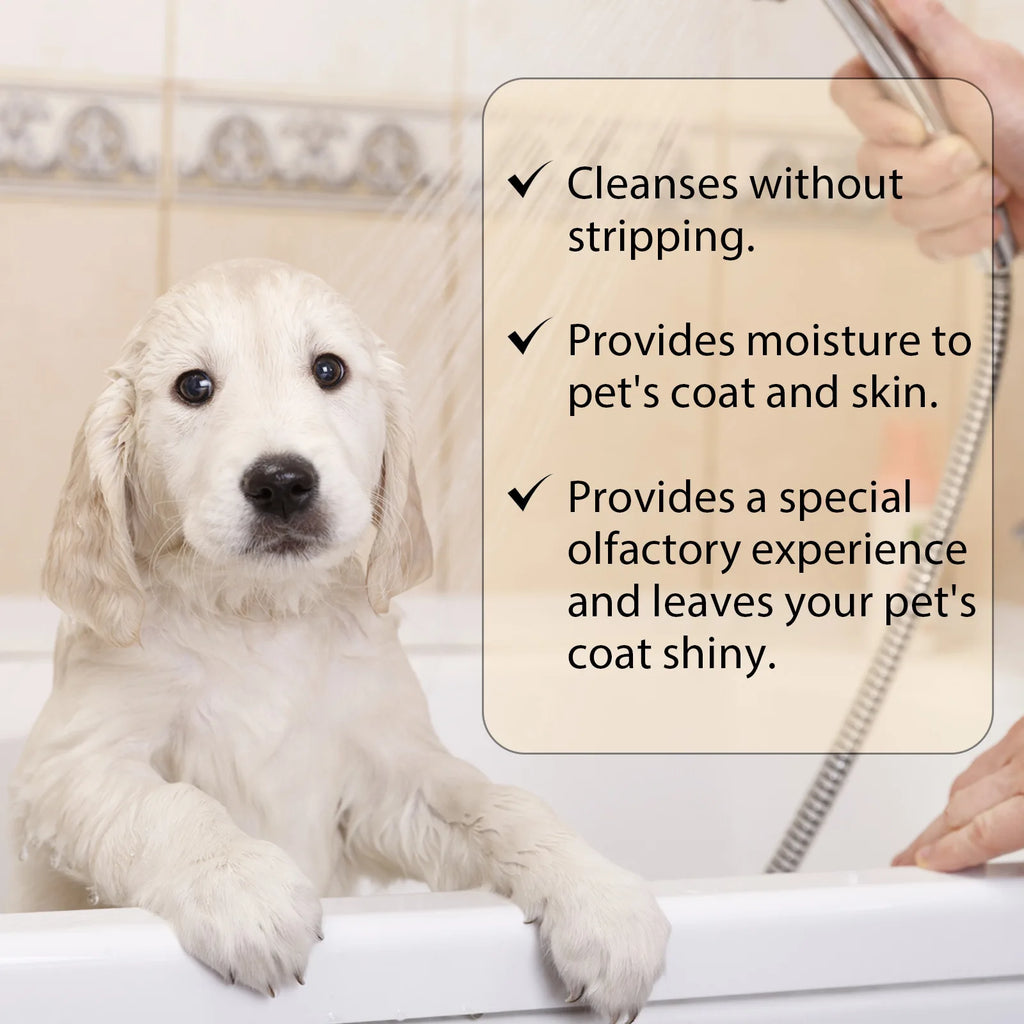 Dog Wash Shampoo: Flea, Mite Killer,  Anti-Itch