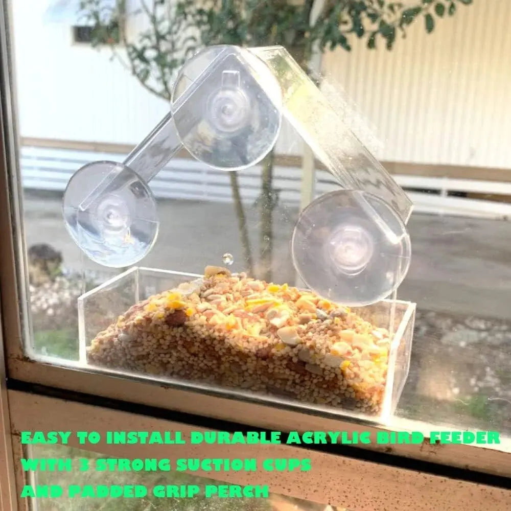 Acrylic Bird Feeder With Suction Cups