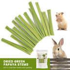 20g Pet Teeth Grinding, Papaya Stem
