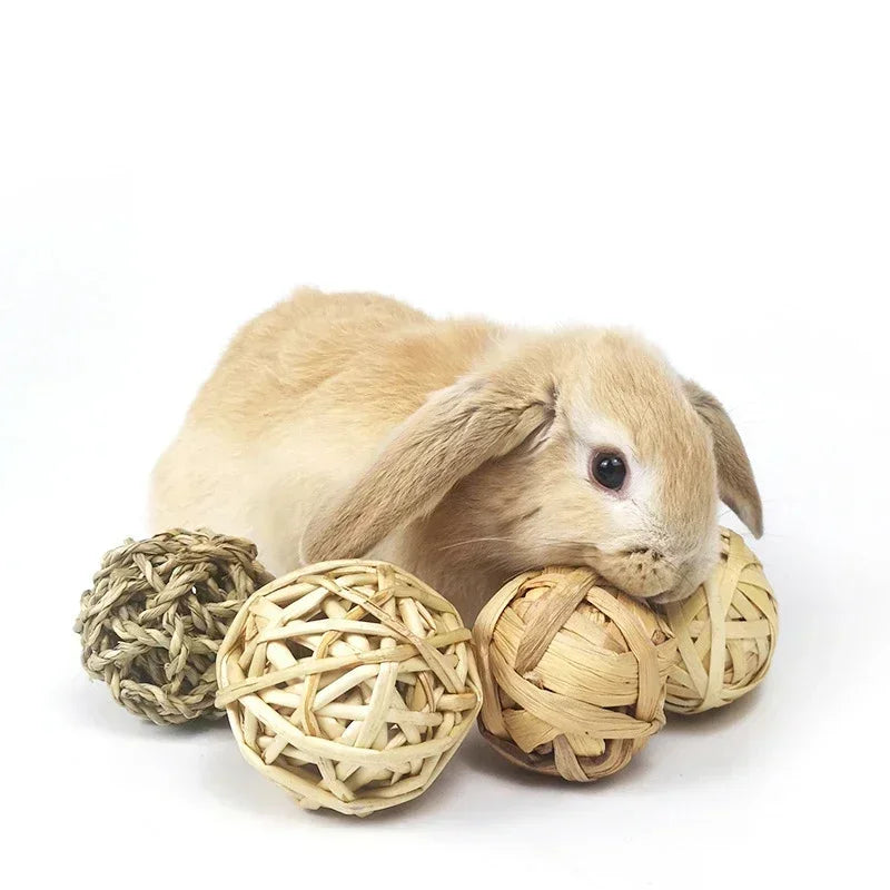 Interactive Chew Toy Natural Grass Ball