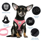 Pet Harness, Lead Leash, Adjustable Vest