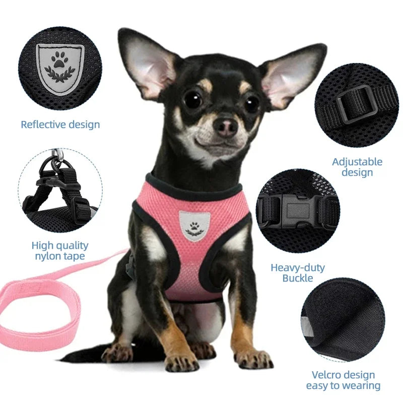 Pet Harness, Lead Leash, Adjustable Vest