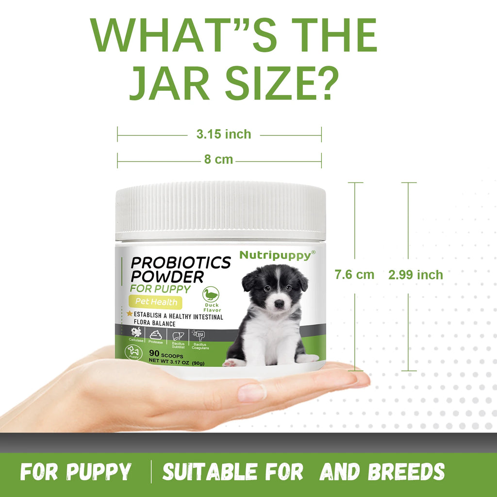 Pet Probiotic Powder Supplement