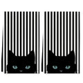 2Pcs Striped Blue-Eyed Black Cat Towels