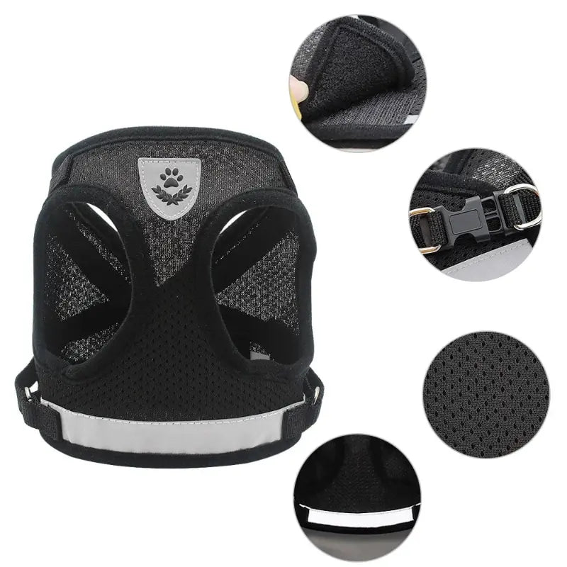 Pet Leash/ Harnesses