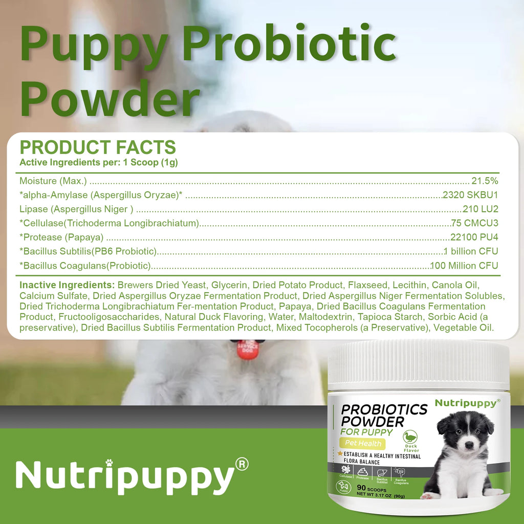 Pet Probiotic Powder Supplement