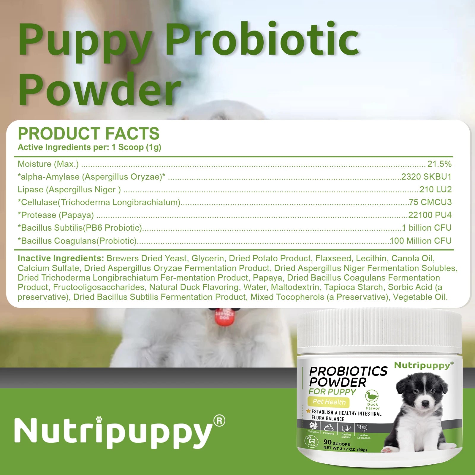 Pet Probiotic Powder Supplement