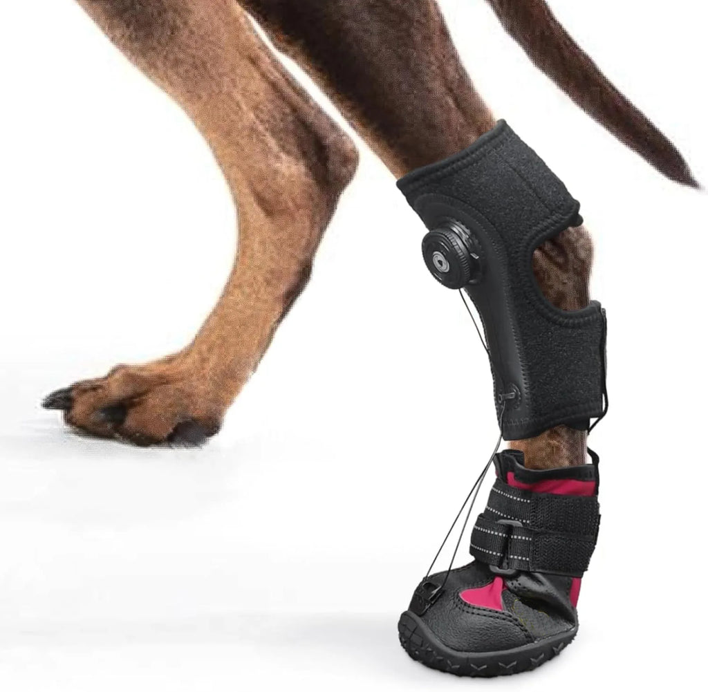 Drop Foot Brace /  Corrective Dog Shoe