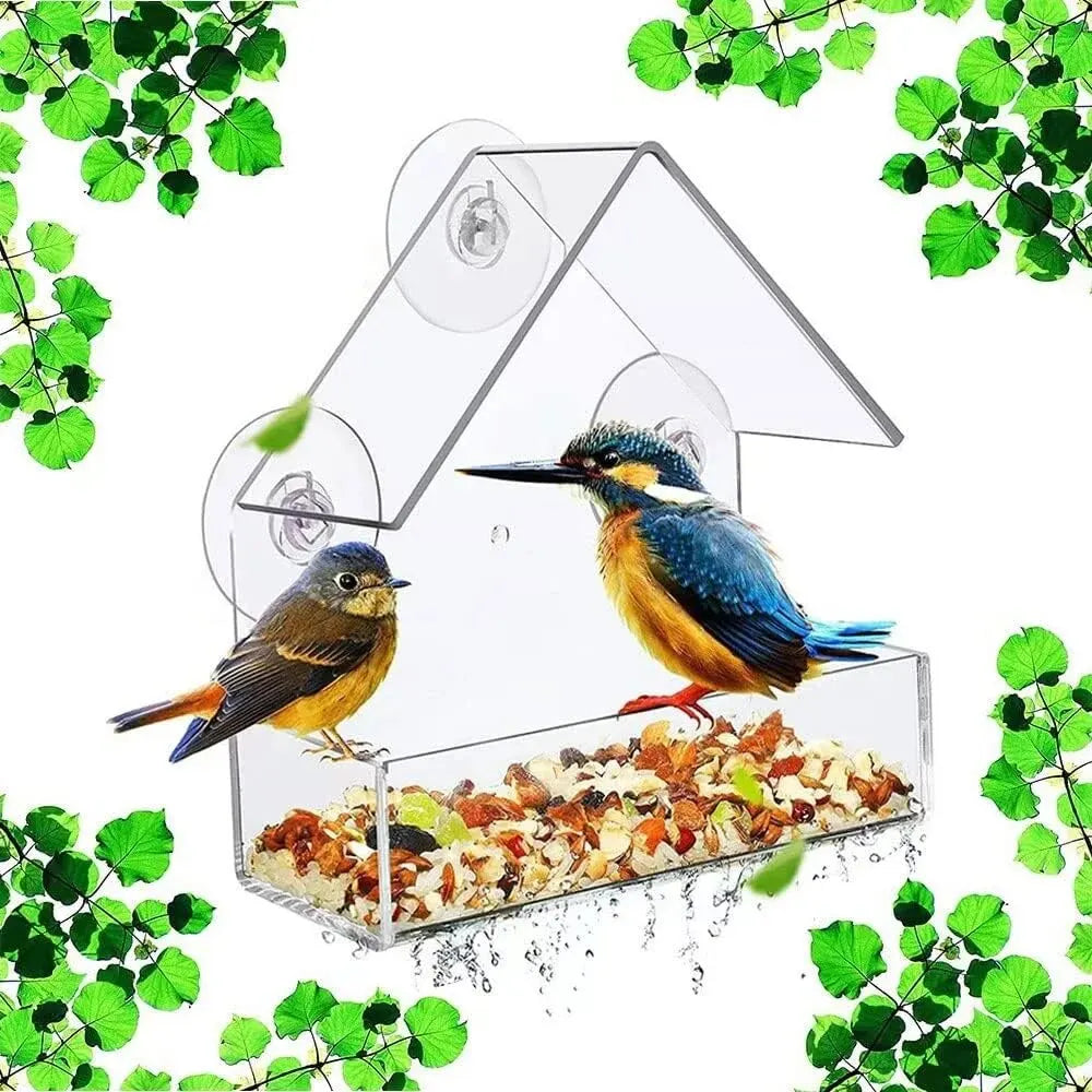 Acrylic Bird Feeder With Suction Cups