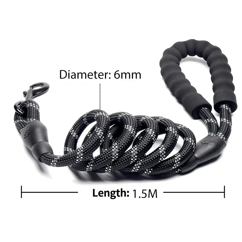 Pet Leash, Reflective