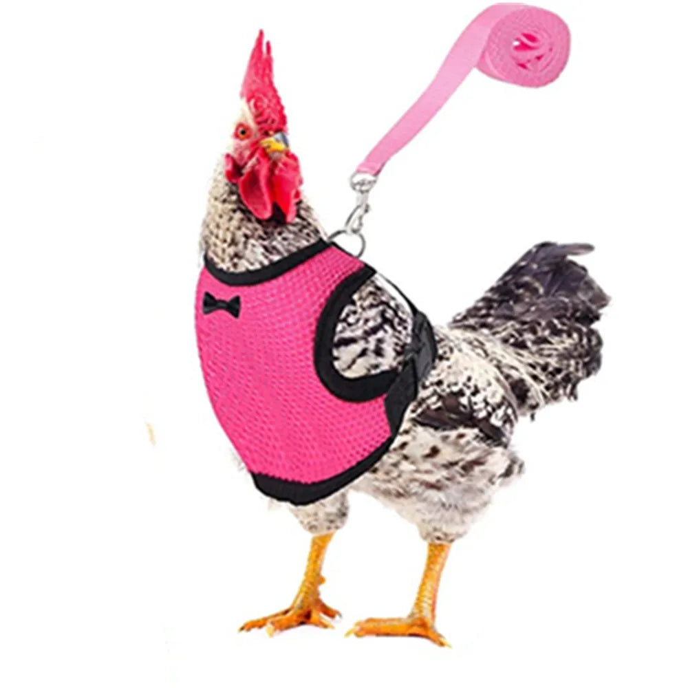 Fashion Chicken Vest /Belt Pet Harness