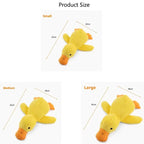 Pet Toy , Duck