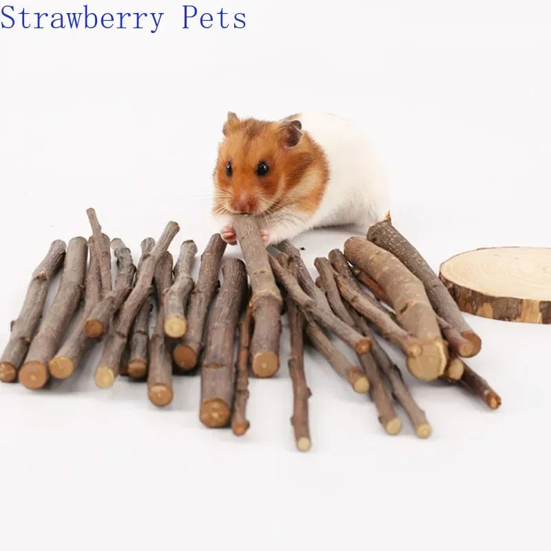 5pcs 10pcs 40pcs Chew, Grinding Stick