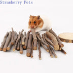 5pcs 10pcs 40pcs Chew, Grinding Stick