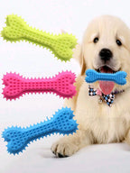 1/3pcs Pet Bone Teeth Cleaning Chew Toys