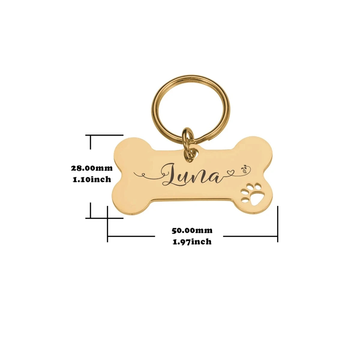 Customized Collar With Name Tag