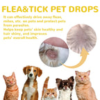 Pet  Anti Flea Drops