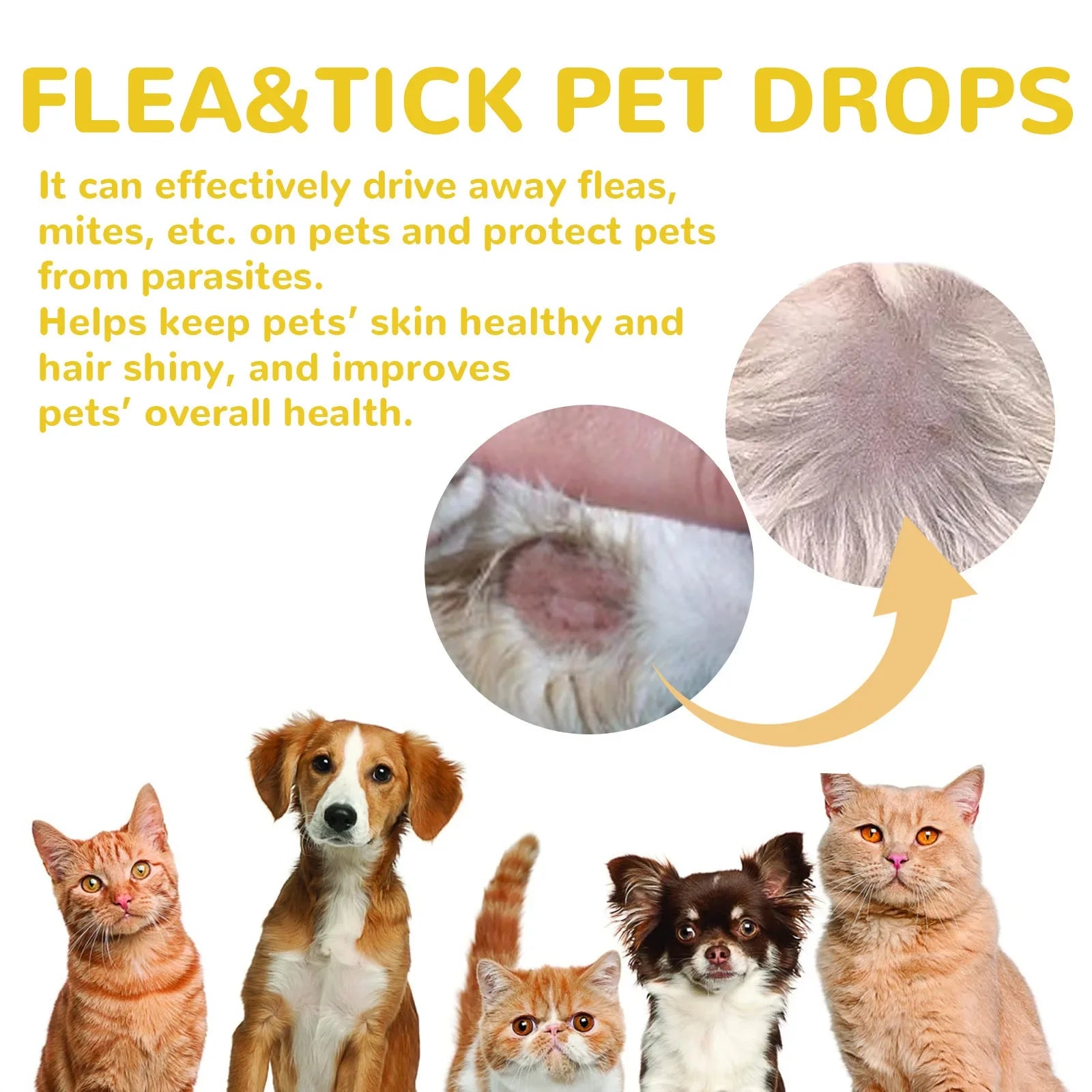 Pet  Anti Flea Drops