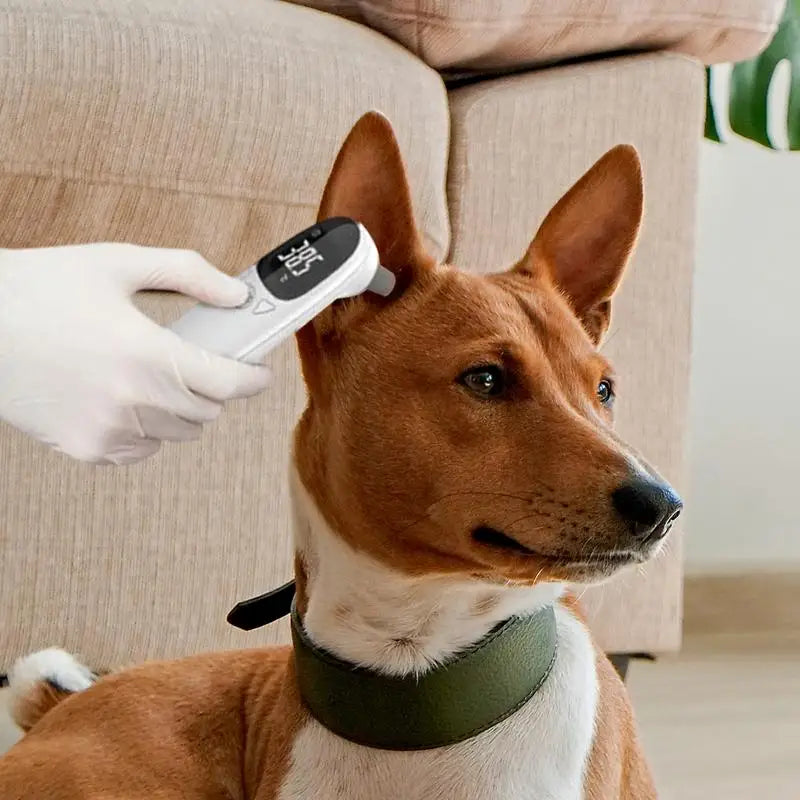 Ear Veterinary Thermometers