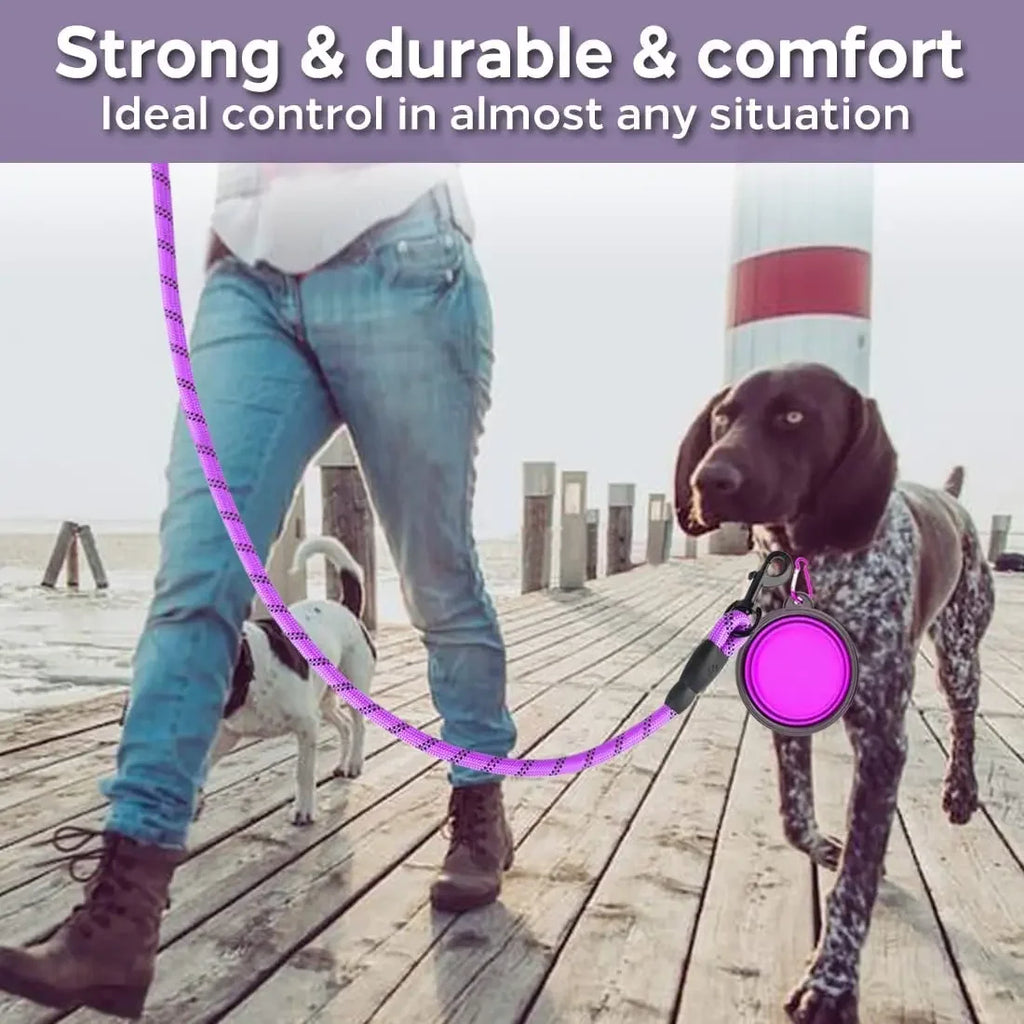Pet Leash, Reflective