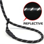 Reflective Dog Leash With Comfortable Padded Handle