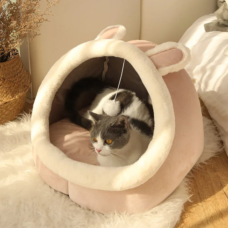 Pet Bed