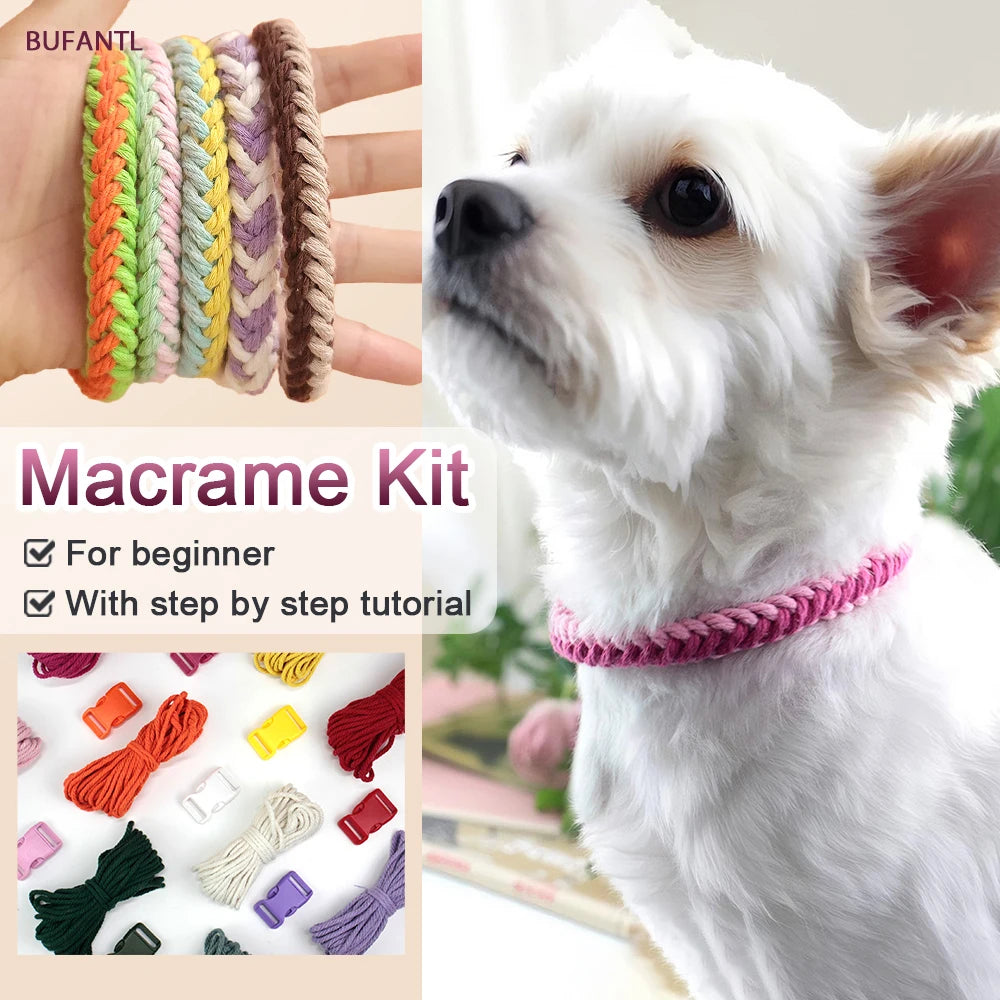 Easy-to-Follow Guide | Pet Daily Wear