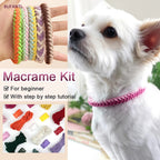 Easy-to-Follow Guide | Pet Daily Wear
