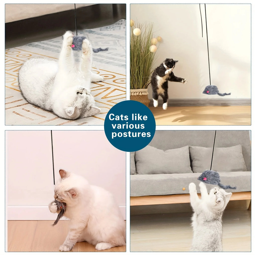 Door Hanging Pet Toy, Stress Relieve