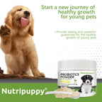 Pet Probiotic Powder Supplement
