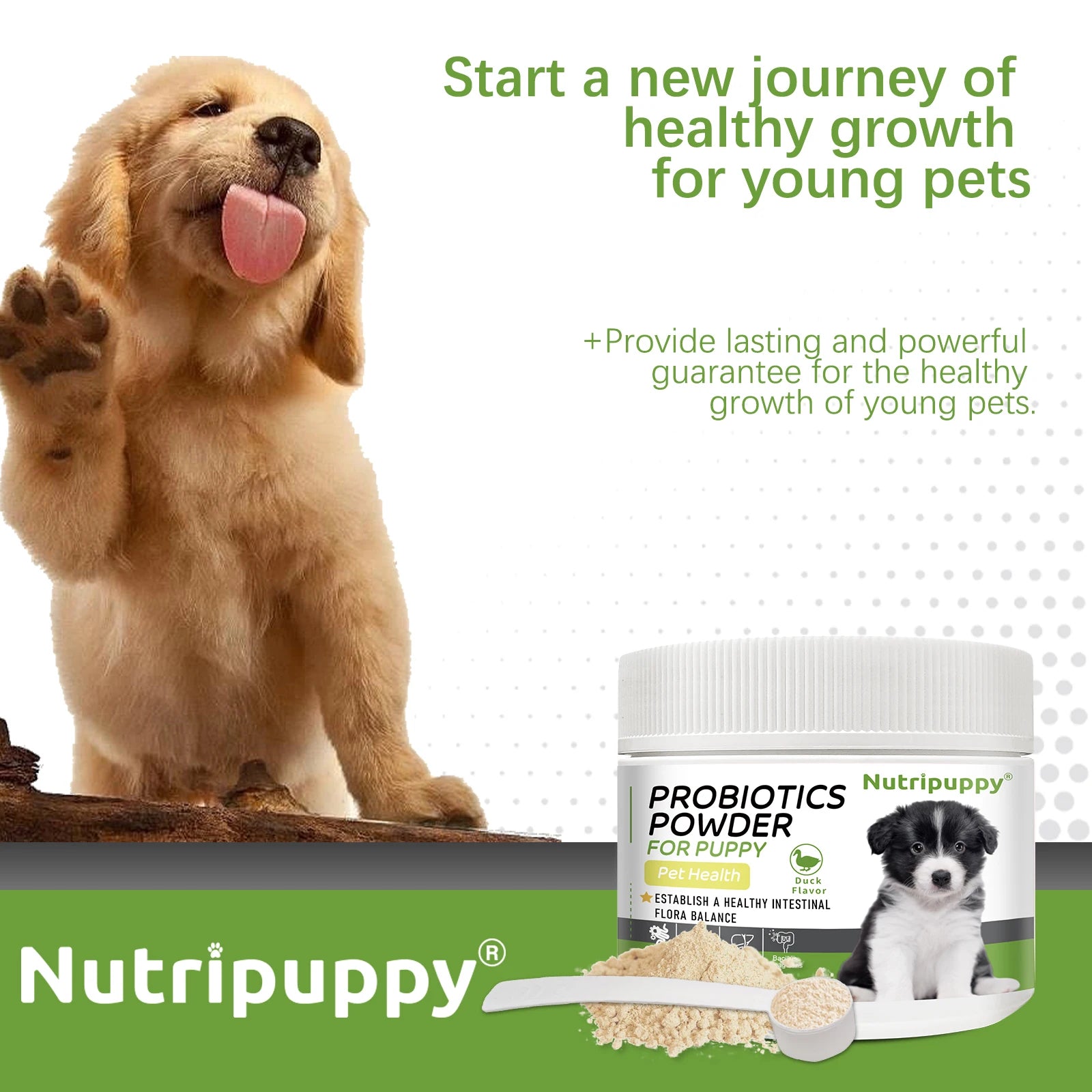 Pet Probiotic Powder Supplement